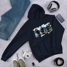 Load image into Gallery viewer, 228th- Commander, ARC &amp; ARF- Unisex Hoodie
